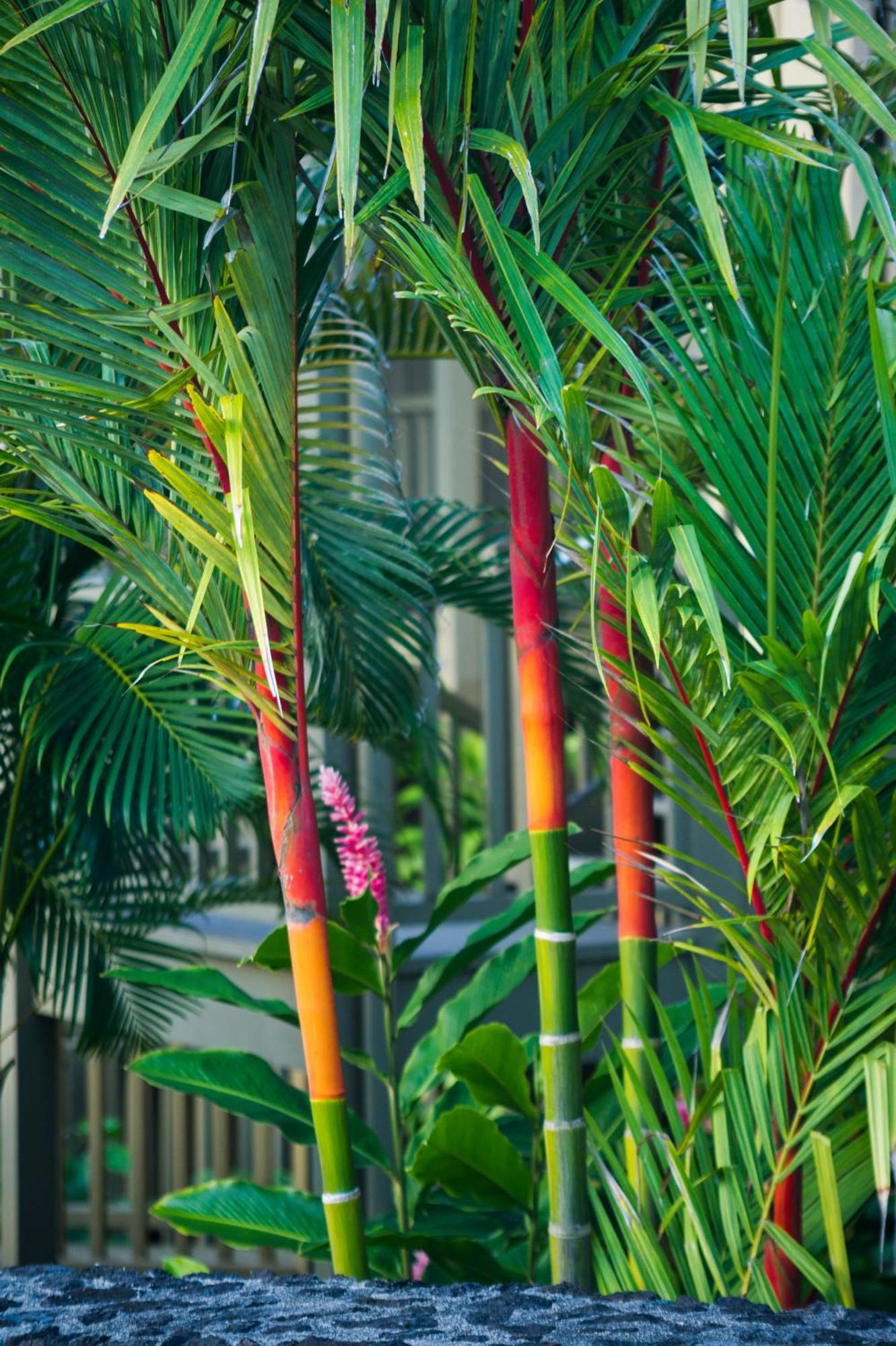 Hana Kai Maui - #106 Kuakahi Partial Oceanview Studio Экстерьер фото